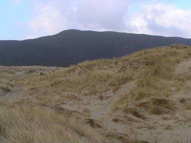 Steward Island 029.jpg